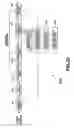 Fig. 49 - Data processing apparatus and method and recording medium
