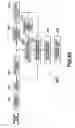 Fig. 83 - Data processing apparatus and method and recording medium