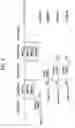 Fig. 07 - Information storage medium including meta data for multi-angle title, and apparatus and method for reproducing the same