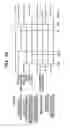 Fig. 08 - Image forming apparatus