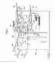 Fig. 02 - Image forming apparatus with paper thickness detection unit for detecting overlap of regular and insertion sheets