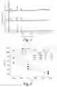 Fig. 02 - Method for preparing pure, thermally stable and high surface area ceria