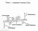 Fig. 02 - Chemically and/or biologically reactive compounds