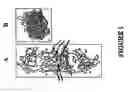 Fig. 02 - T cell receptors with enhanced sensitivity recognition of antigen