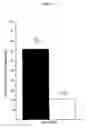 Fig. 06 - Coenzyme Q10 as antiapoptotic agent