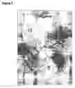 Fig. 02 - Cancer immunotherapy