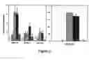 Fig. 07 - Bcr-abl vaccines and methods of use thereof