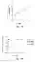 Fig. 27 - Anti-angiogenic compositions and methods of use