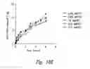 Fig. 28 - Anti-angiogenic compositions and methods of use