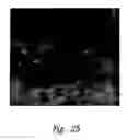 Fig. 40 - Anti-angiogenic compositions and methods of use