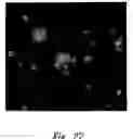 Fig. 42 - Anti-angiogenic compositions and methods of use