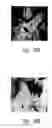 Fig. 43 - Anti-angiogenic compositions and methods of use