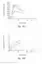 Fig. 46 - Anti-angiogenic compositions and methods of use
