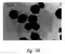 Fig. 71 - Anti-angiogenic compositions and methods of use