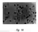 Fig. 75 - Anti-angiogenic compositions and methods of use