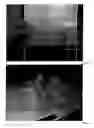 Fig. 02 - Light-scattering materials which have self-cleaning sufraces