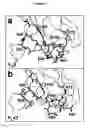 Fig. 06 - Modification of human variable domains