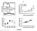 Fig. 07 - Biomarkers for intro-amniotic inflammation