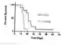 Fig. 01 - Targeting viruses using a modified sindbis glycoprotein