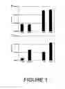 Fig. 02 - Targeting viruses using a modified sindbis glycoprotein