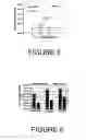 Fig. 06 - Targeting viruses using a modified sindbis glycoprotein