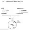 Fig. 03 - Microorganism and process for preparing vitamin b6
