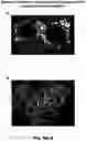 Fig. 07 - Compositions and methods for culturing stem cells