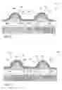 Fig. 04 - Method for forming dual etch stop liner and protective layer in a semiconductor device