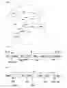 Fig. 02 - Method of implementing scatternet in wireless personal area network