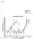 Fig. 02 - Molecules which promote hematopoiesis