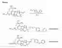Fig. 02 - 9-ketospinosyn derivatives