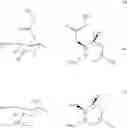 Fig. 294 - 9-ketospinosyn derivatives