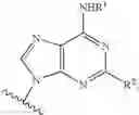 Fig. 07 - Purine Derivatives and methods of use thereof