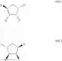 Fig. 29 - Purine Derivatives and methods of use thereof