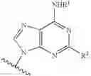 Fig. 66 - Purine Derivatives and methods of use thereof