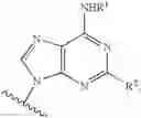 Fig. 76 - Purine Derivatives and methods of use thereof
