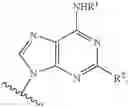 Fig. 80 - Purine Derivatives and methods of use thereof