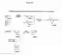 Fig. 07 - FK228 analogs and methods of making and using the same