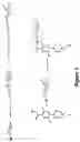 Fig. 04 - Aryl boronic acids for treating obesity
