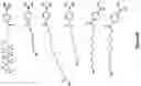 Fig. 06 - Aryl boronic acids for treating obesity