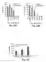 Fig. 33 - Compounds and methods for the treatment of cancer