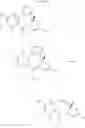 Fig. 16 - Pyrrolobenzodiazepines