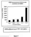 Fig. 02 - Non-steroidal farnesoid X receptor modulators and methods for the use thereof