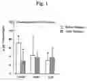 Fig. 02 - Amino acid composition for improving central functions