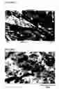 Fig. 03 - Multistage process for the manufacture of peroxide-cured HXNBR-polyamide thermoplastic vulcanizates