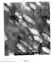 Fig. 02 - Propylene olefin copolymers