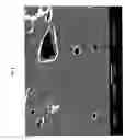Fig. 09 - Process for making a thermoplastic vulcanizates