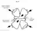 Fig. 07 - Molecular linkers suitable for crystallization and structural analysis of molecules of interest, method of using same, and methods of purifying g protein-coupled receptors