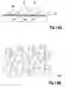 Fig. 12 - Textured surface having undercut micro recesses in a surface