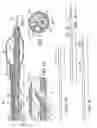 Fig. 02 - Adjustably stiffenable convertible catheter assembly